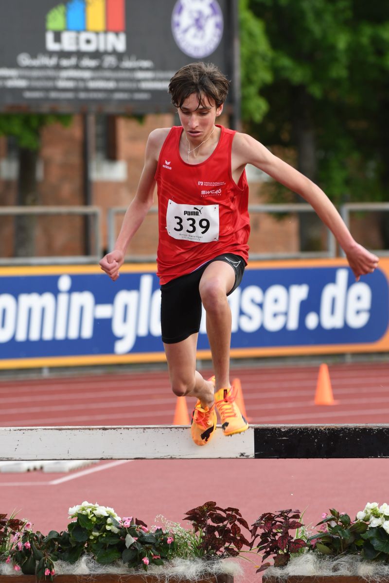 Tolles Hindernis Debut für Anton Reisinger