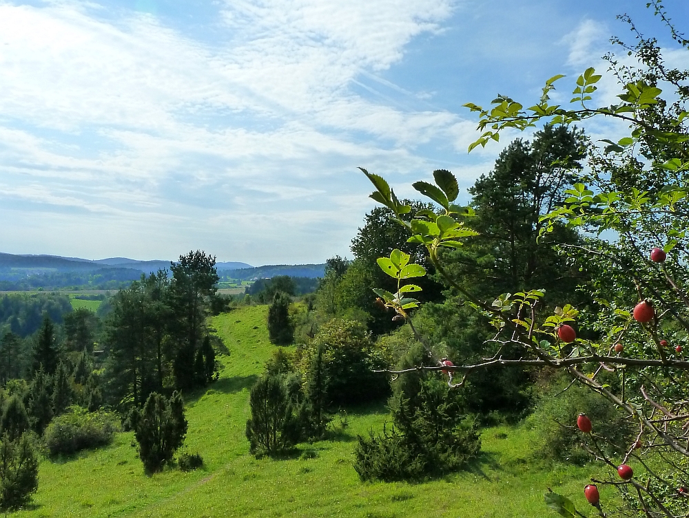 Wanderankündigung zur Rundwanderung am 19.10.25: Zum Gasthaus Waldhaus im Naturpark Hirschwald