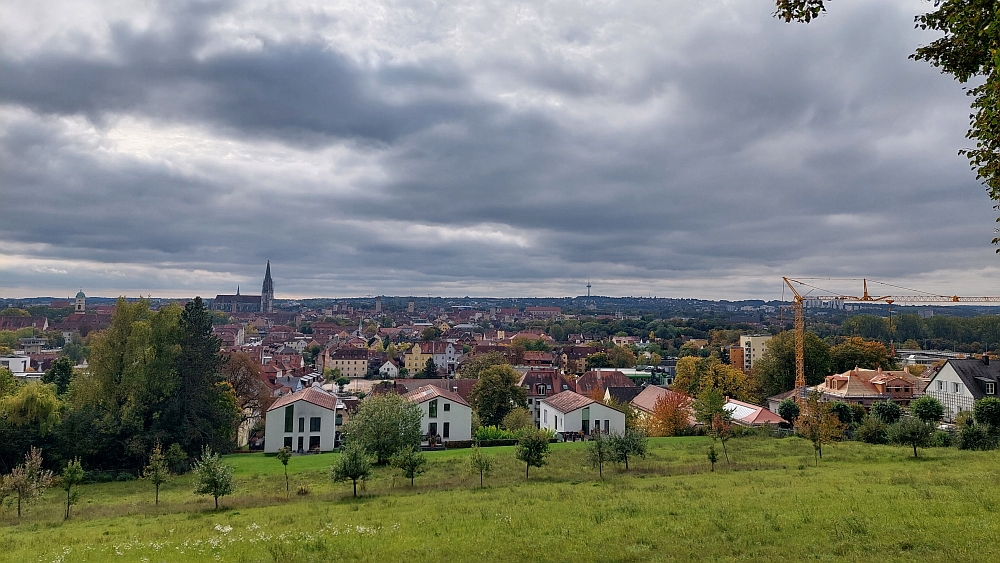 Ankündigung zur SWC-Fuchsjagd am 12.10.2025 um 14 Uhr - Treffpunkt Seidenplantage