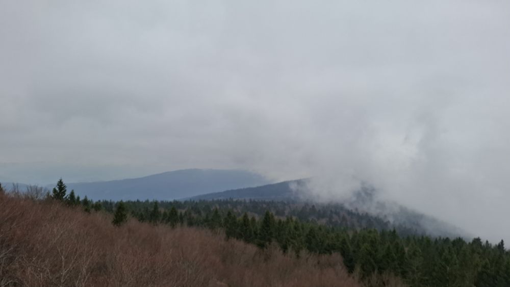 Rundwanderung am 19.04.2026: Die 2-Tausender-Wanderung rund um den Hirschenstein