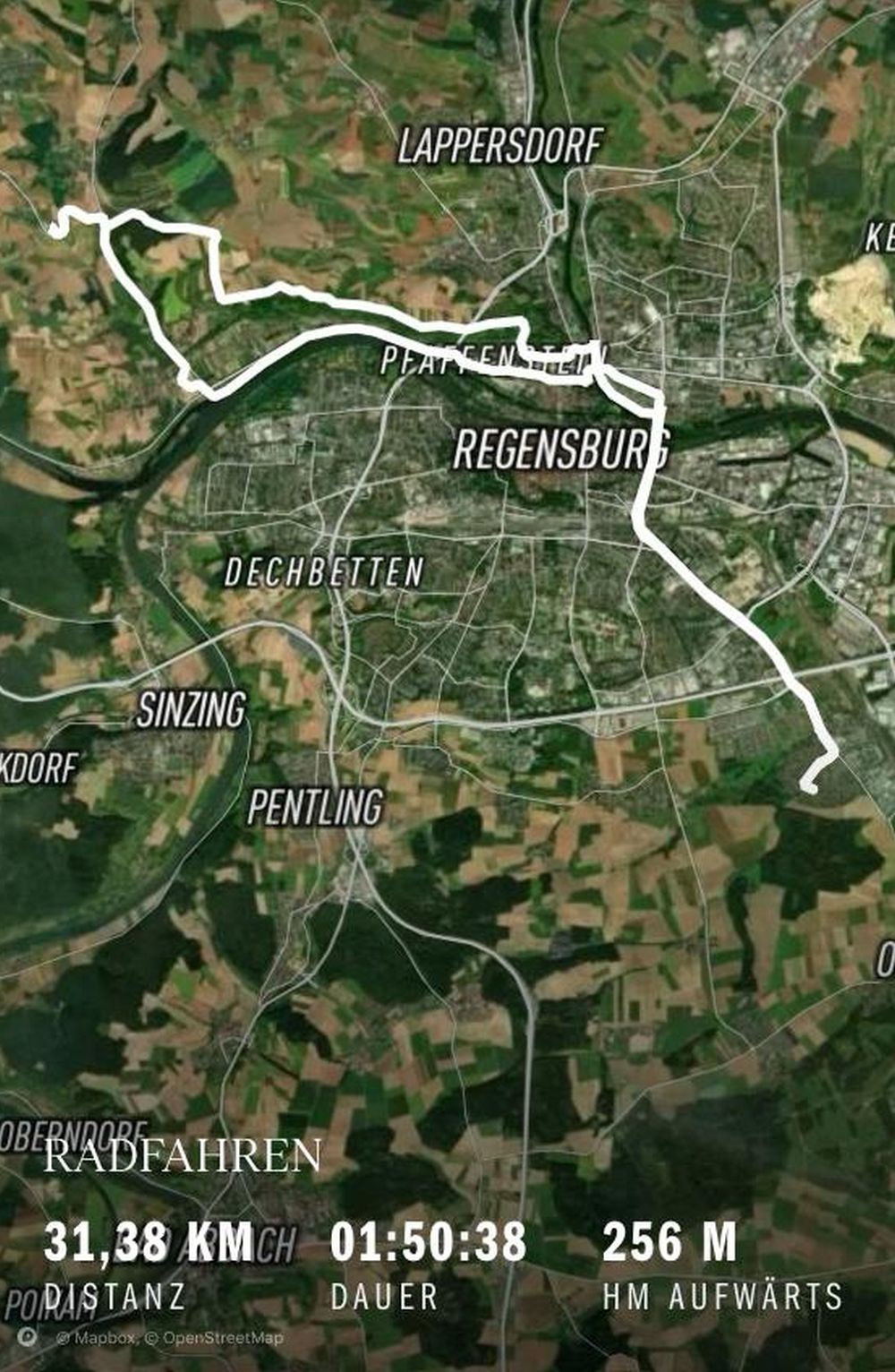 Leberkaessemmel
