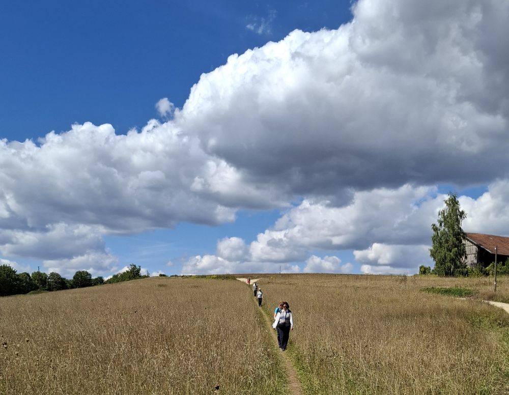 "Wandern und Biergarten" am 23.08.2026: Zur Gastätte Huf auf der Tremmelhauserhöhe