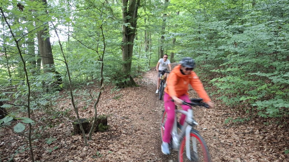 Leberkaessemmel